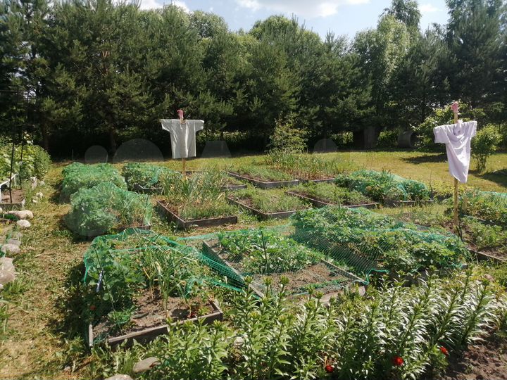 Дом 136 м² на участке 50 сот.