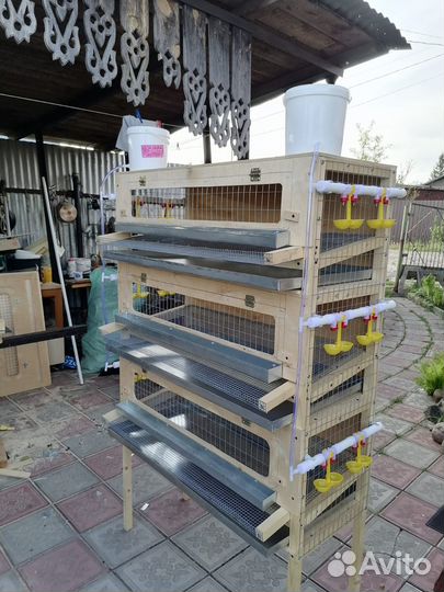 Клетка для перепелов.Перепелятник трехъярусный