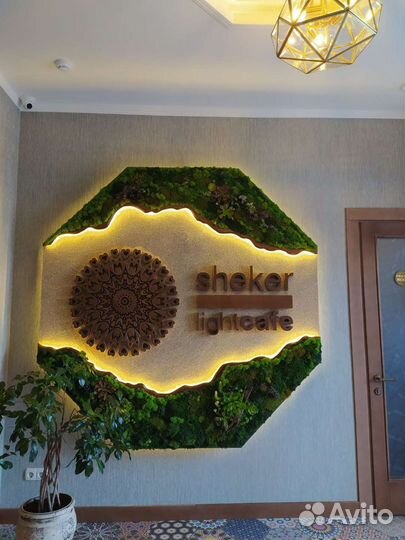 Вертикальное озеленение