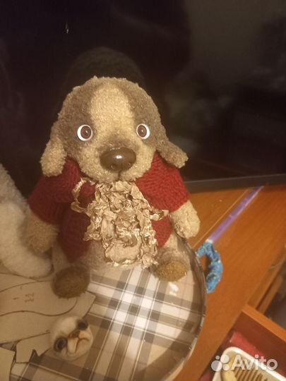 Собака тедди