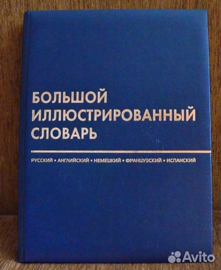 Большой иллюстрированный словарь