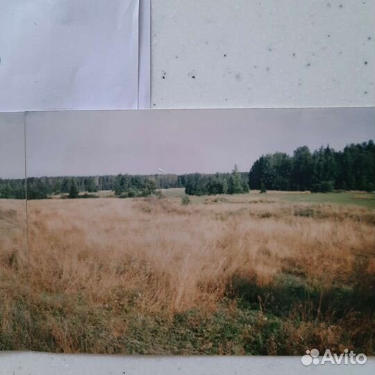 Трава на сено