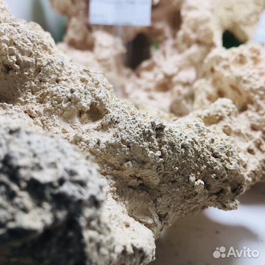 Декорации для аквариума