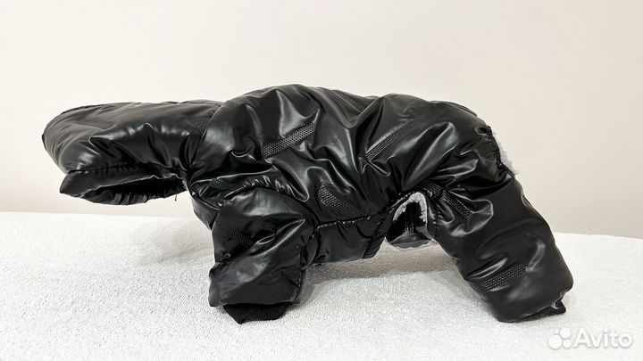 Новый комбинезон для мелких плрод собак