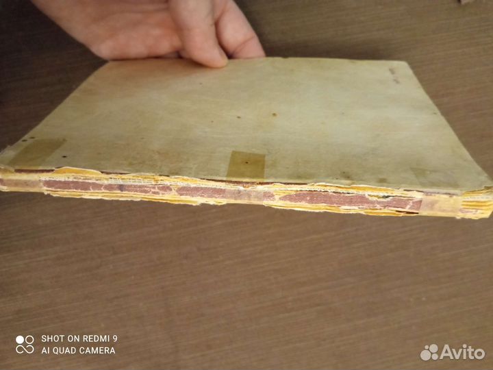 Книга 1950 года. Путеводитель по раскопкам