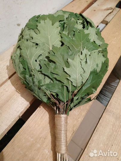 Веник дуб красный (дуб - клён )