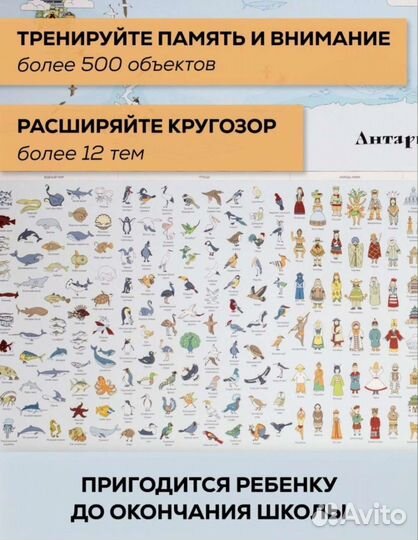 Игровая карта мира Papitama