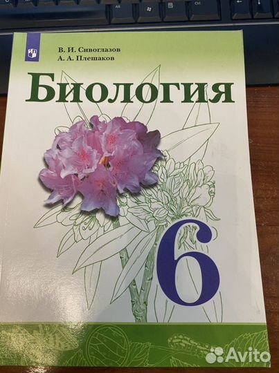 Биология 6 класс Пасечник учебник Б У Многообразие покрытосеменных Растений изда