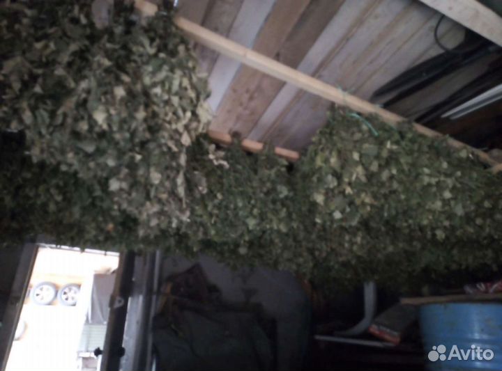 Веники берёзовые