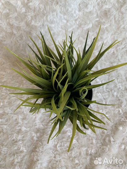 Искусственный цветок IKEA