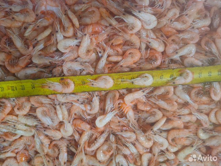 Креветка свежемороженная 3-5 см сухой заморозки