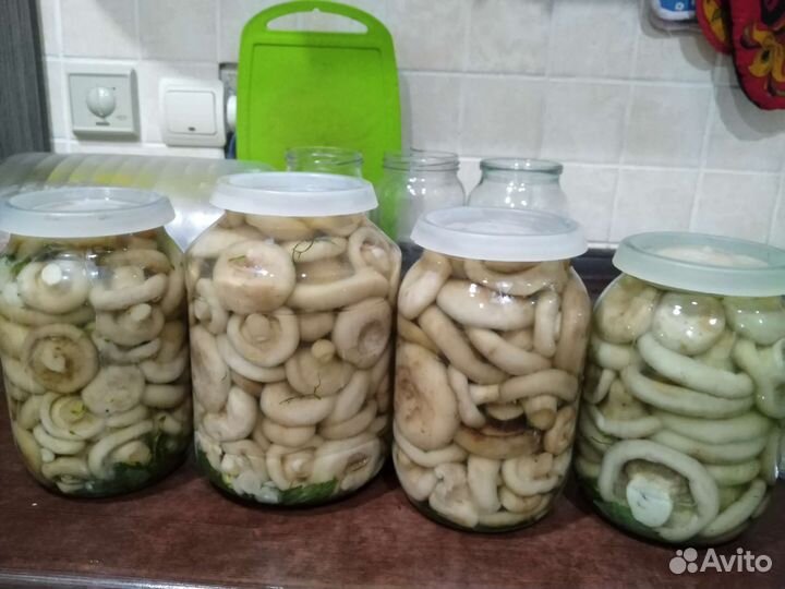 Грибы маринованные, слоёные