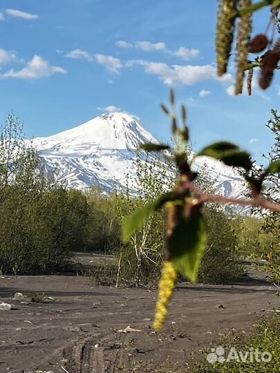 Вулкан Авача гора Верблюд тур экскурсия