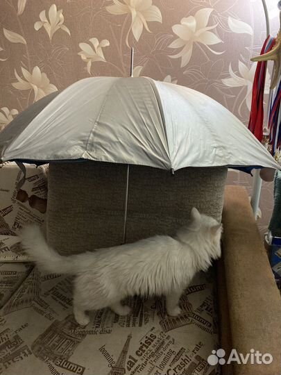 Зонт-трость