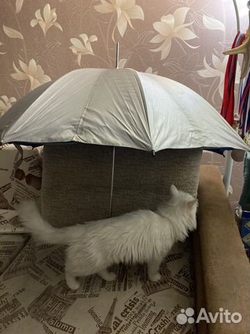 Зонт-трость