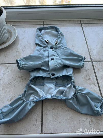 Одежда для собак мелких пород