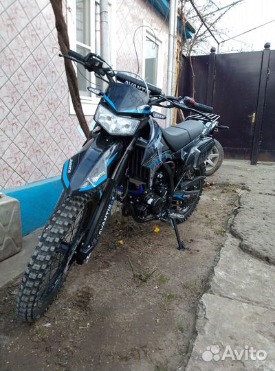 Avantis LX 300 новый с птс