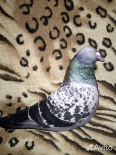 Голубь антистресс игрушка