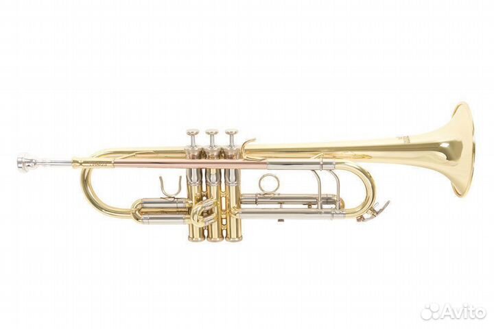 Труба Roy Benson TR-403