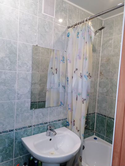 1-к. квартира, 30 м², 1/5 эт.