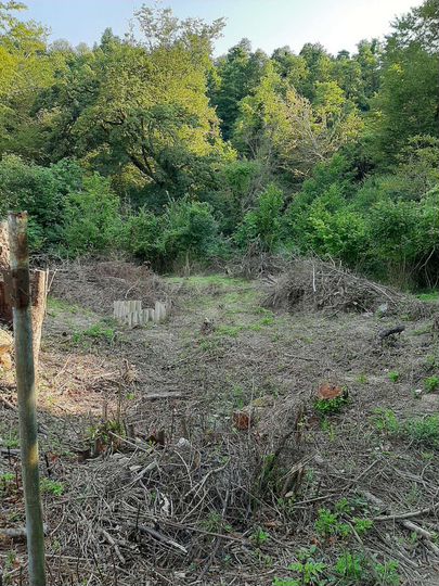 Участок 3,8 сот. (СНТ, ДНП)