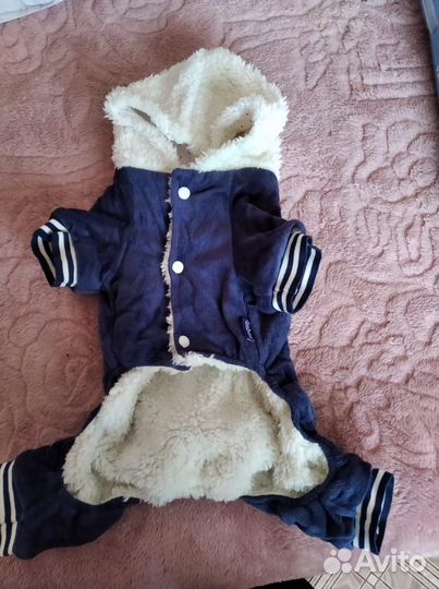 Комбинезоны для собак