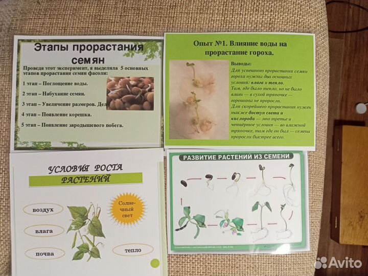 Опыты и эксперименты