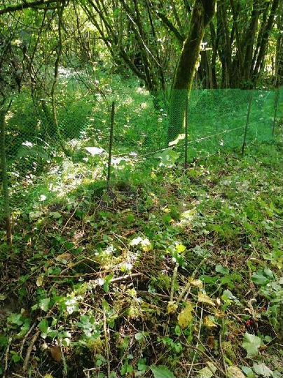 Участок 4,8 сот. (СНТ, ДНП)