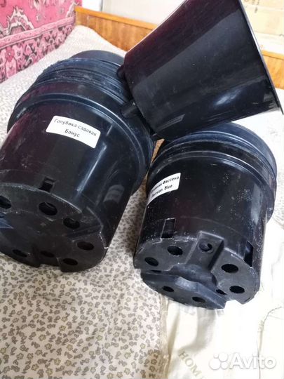 Горшки для рассады бу