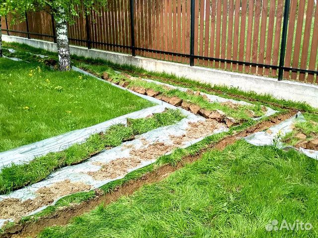 Автополив под ключ