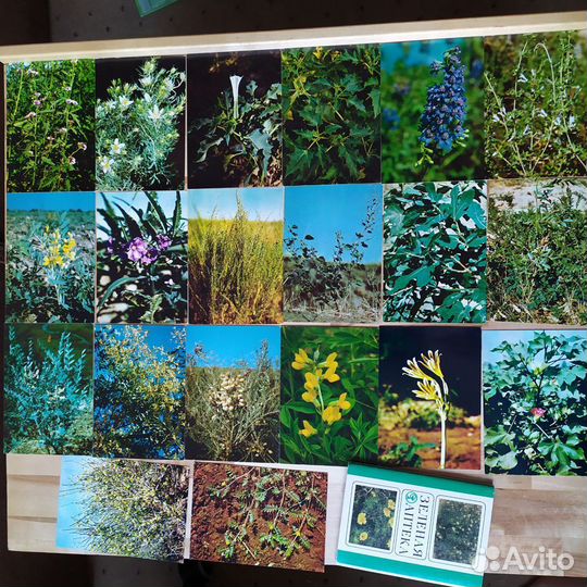 Открытки советские (СССР)