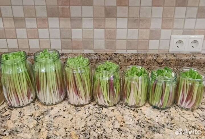 Черемша маринованная (оч. вкусно - рекомендую)