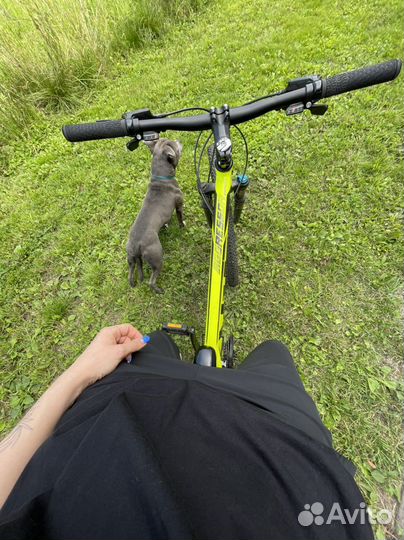 Вeлоcипeд gt аggrеssоr ехрert neon