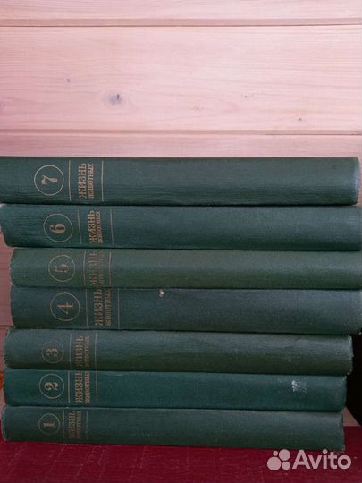 Энциклопедия 