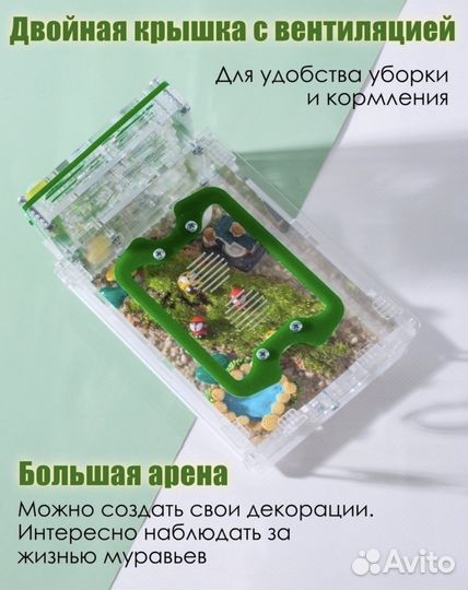 Муравьиная ферма