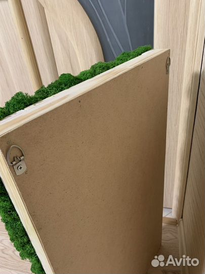 Зеркало с подсветкой и стабилизированным мхом