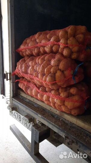 Продам овощи: картофель, капуста, лук, морковь