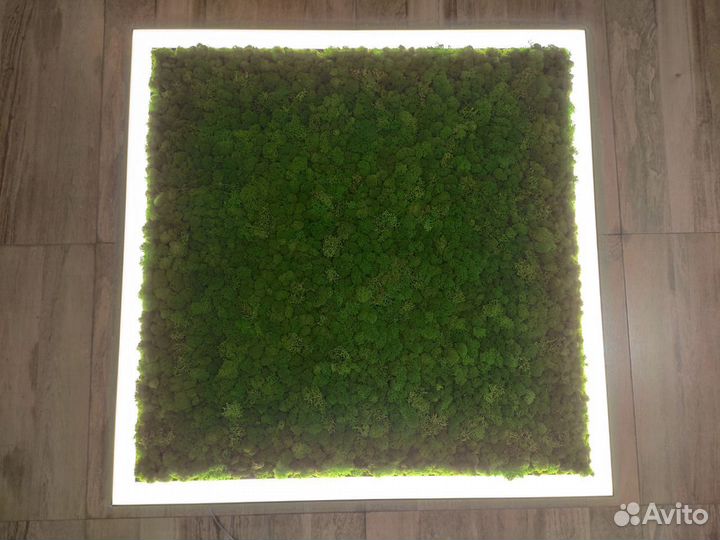 Люстра LED Квадратная со мхом Ягель 40W 540mm