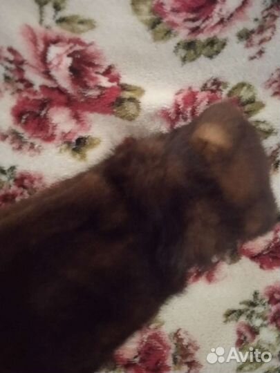 Повязка на голову с норки