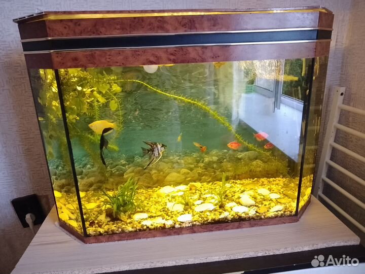 Аквариум 1000 литров