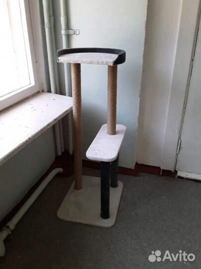 Когтеточка