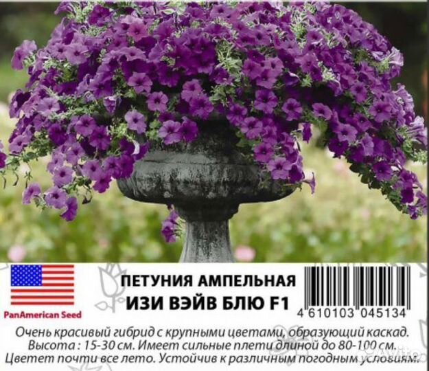 Профессиональные семена ампельной петунии