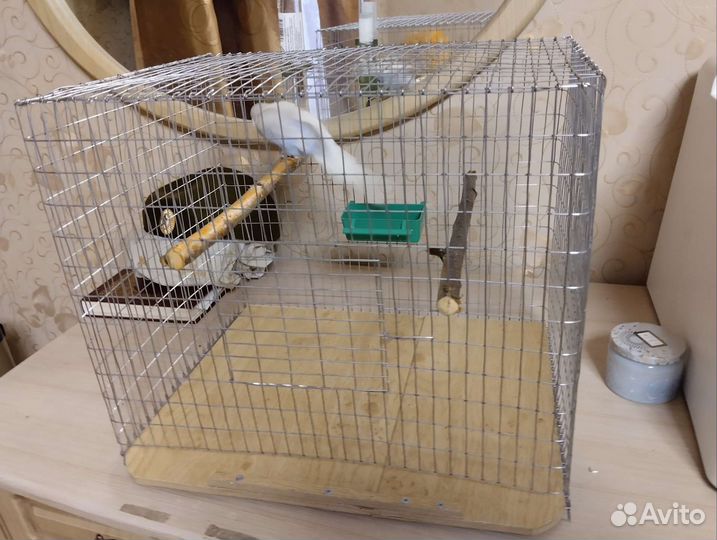 Клетка для попугая, вольер, жердочки из дерева