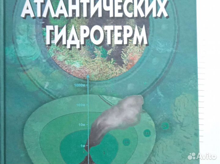 Экосистемы атлантических гидротерм