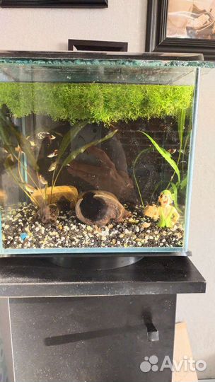 Аквариум с рыбками и тумбой