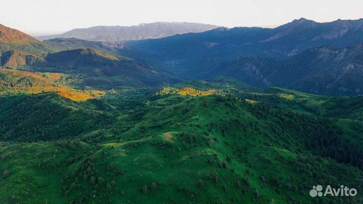 База отдыха Киргизия