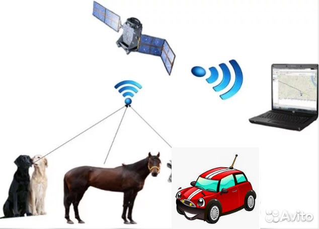 Gps маяк для автомобилей, крс, лошадей adm702