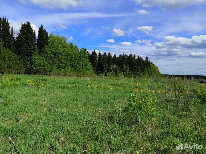 Кадастровый Инженер, Межевание