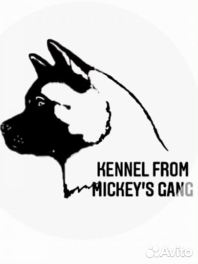 Вкусняшки для собак