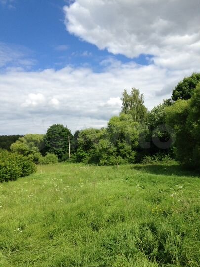 Участок 100 сот. (ИЖС)